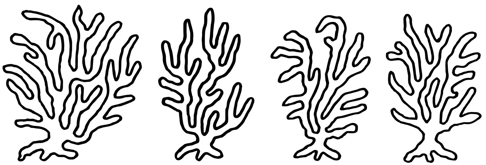 Plantes aux allures d'algues